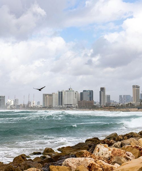 Tel-Aviv, visite guidée en Français par Alex Gutman - Guide Touristique francophone en Israël